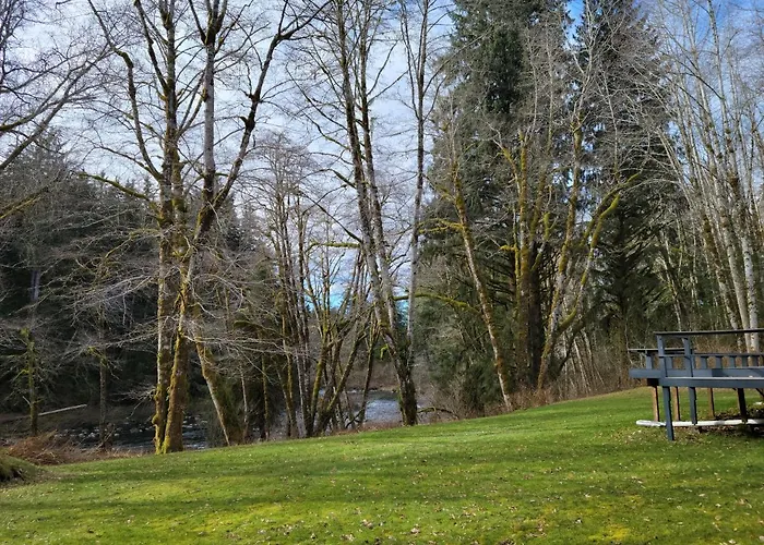 A Relaxing Getaway-A Backwoods Cabin Solduc River